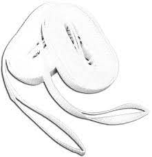 Safety Jacklines 'Life Llink' (Pair) Lgth 10M Width 25Mm Part No 20706