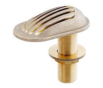 CR Brass Intake Strainer ( Various Sizes )