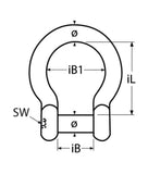 Bow Shackle With Hex Socket A4 Stainless